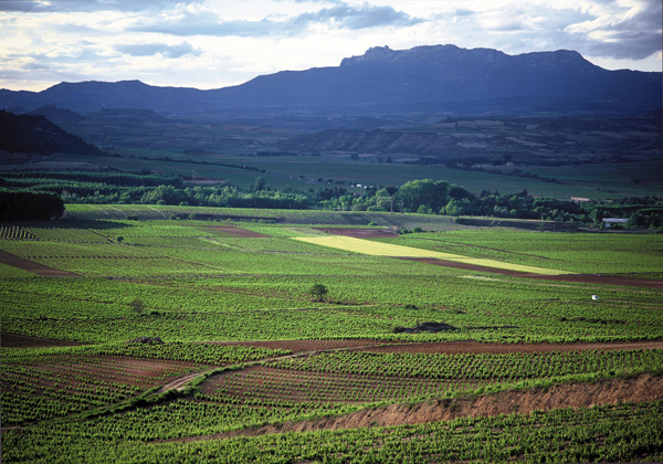 Rioja