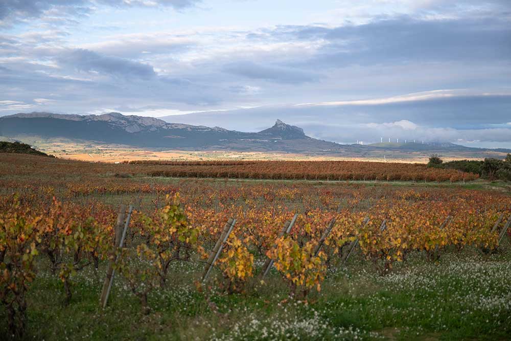 Rioja Region